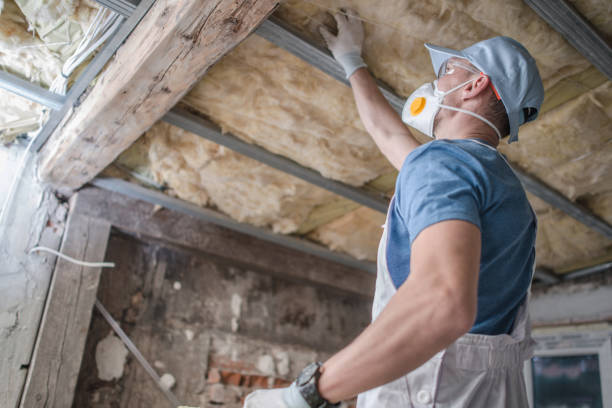 Best Insulation for Specific Applications in Gerdine, AL